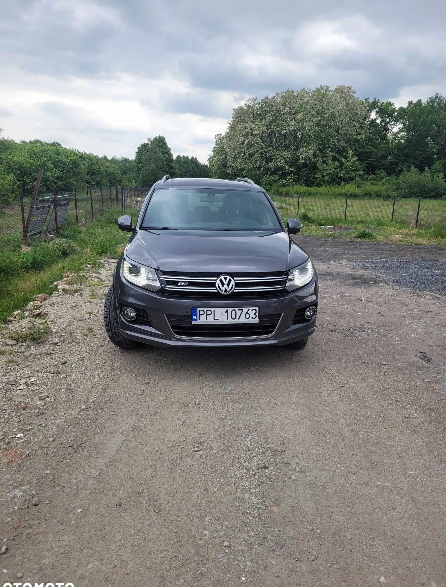 Volkswagen Tiguan cena 63800 przebieg: 157000, rok produkcji 2014 z Pleszew małe 92